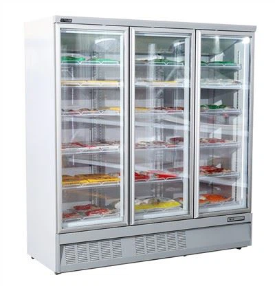 תצוגת מקפיא לדלת זכוכית